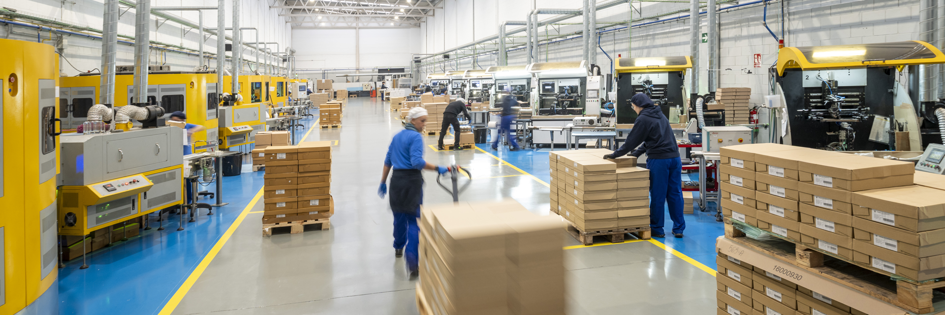 Donde la creatividad toma forma